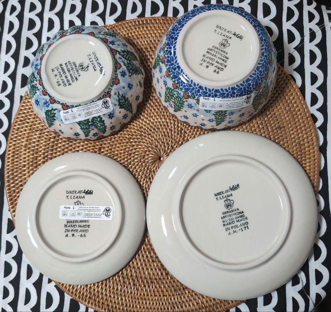 有田焼 田清窯 チェルキオ トマト パスタ皿 カレー シチュー 有田の